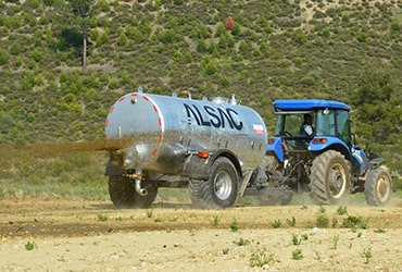 tarlauyg.jpg